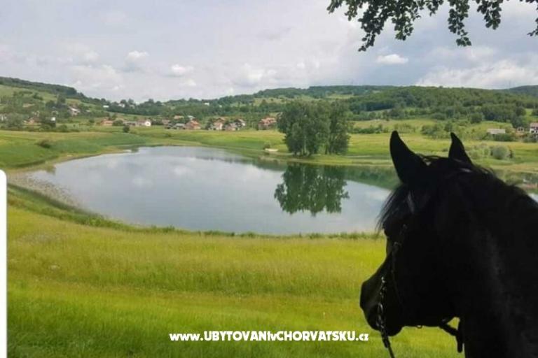 Apartmanok Paradiso – fotó 7
