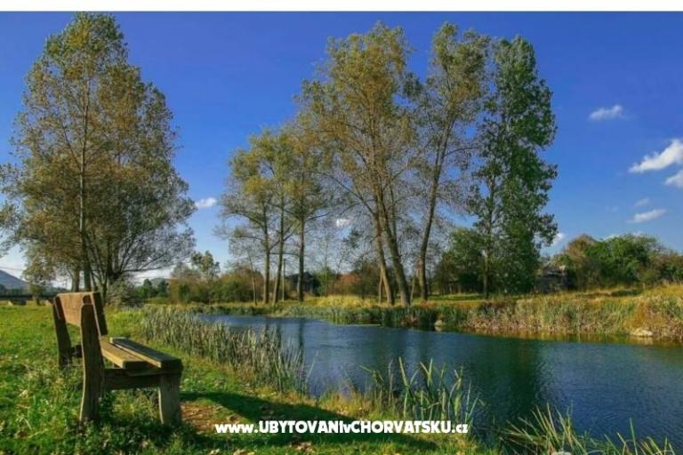 Apartmanok Paradiso – fotó 8