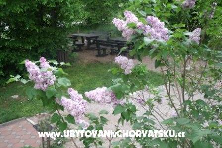 Szobák Veronika – fotó 13