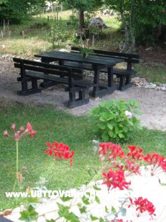 Szobák Veronika – fotó 6