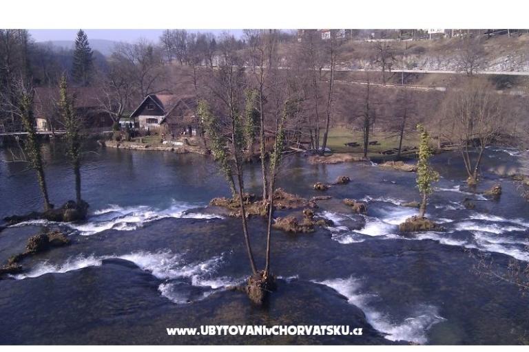 Szobák Roza – fotó 14