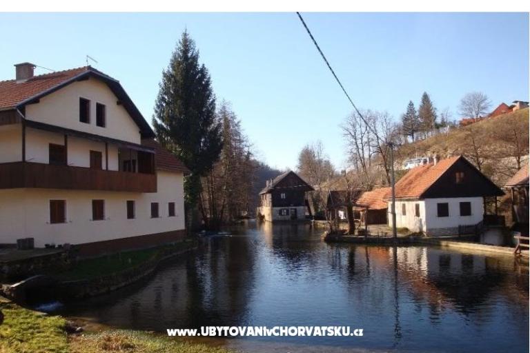 Szobák Roza – fotó 3