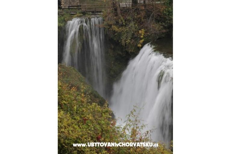 Szobák Roza – fotó 8