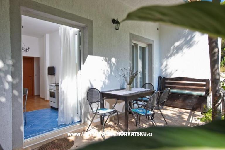 Apartmanok Vega – fotó 2