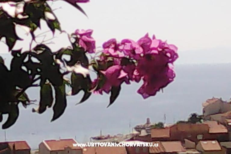 Apartmanok Kelava Željko – fotó 16