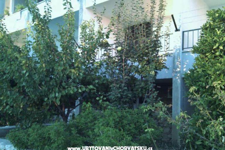 Apartmanok Brusje – fotó 3