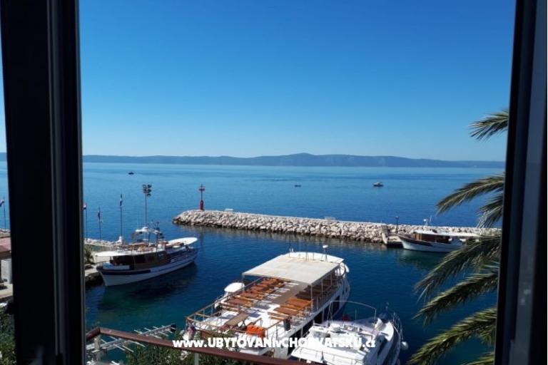 Palm tree apartman – fotó 6