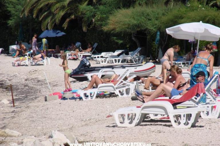Apartmanok Bašković – fotó 10