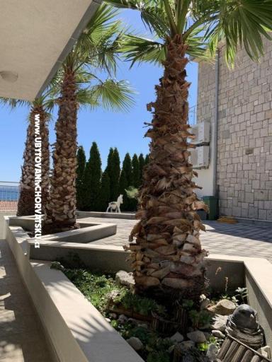 Apartmanok Botuš – fotó 3
