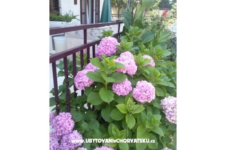Apartmanok Dana – fotó 11