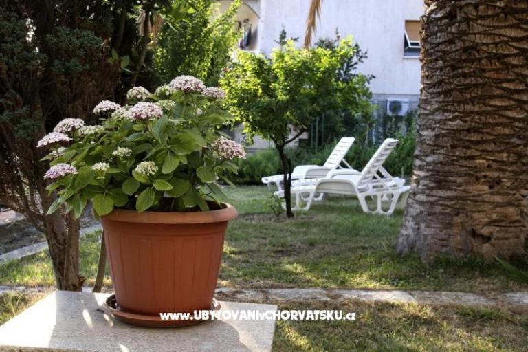 Apartmanok Domeniko – fotó 7