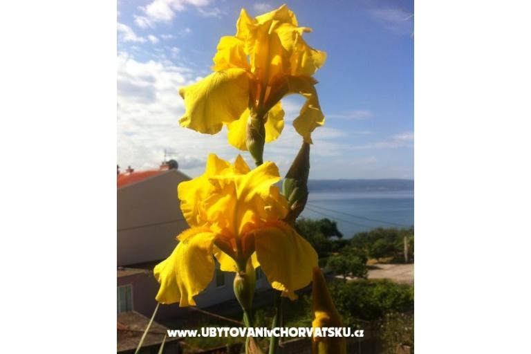 Apartmanok SARA – fotó 13