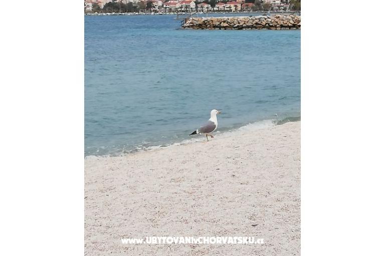 Apartmanok Plave oči  – fotó 6