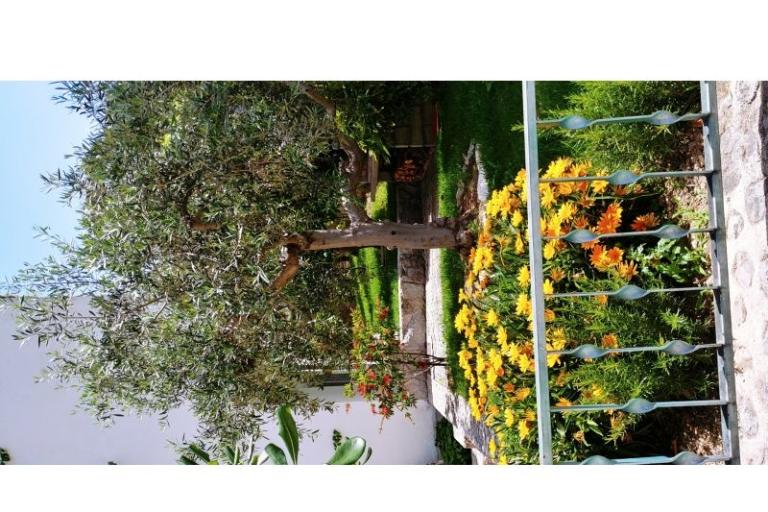 Apartmanok Mršić – fotó 6