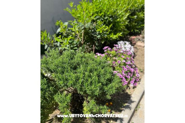 Apartman lux with garden – fotó 24