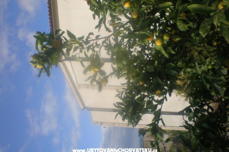 Apartmanok Mandarić  – fotó 15