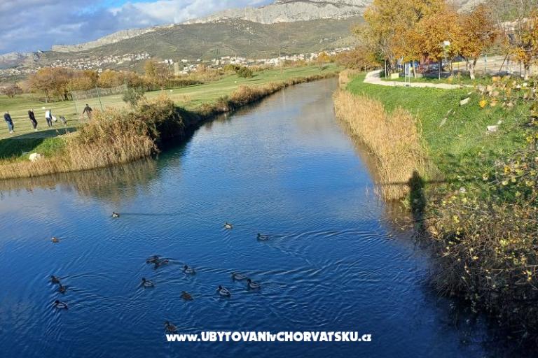 Holiday villa LUX – fotó 21