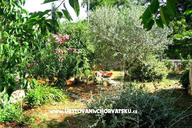 Apartman Nadia – fotó 14
