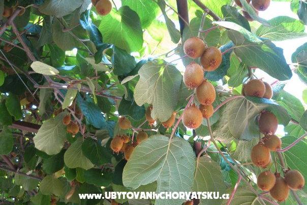 Apartmanok Milanović  Poreč – fotó 15