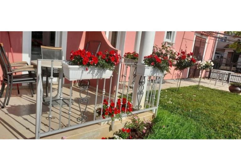Apartmanok Dragica! – fotó 26