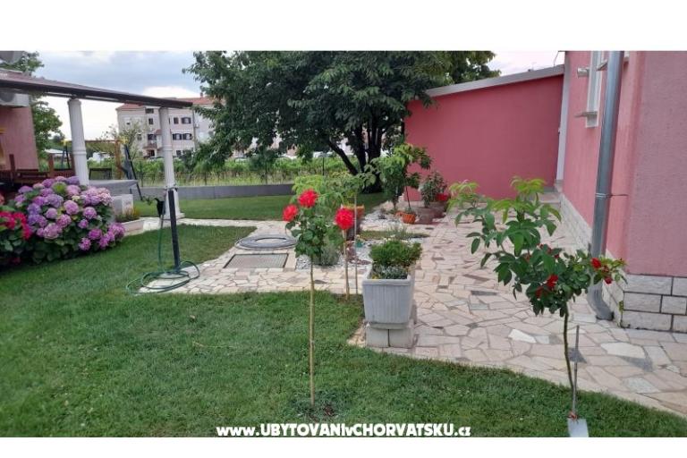 Apartmanok Dragica! – fotó 4