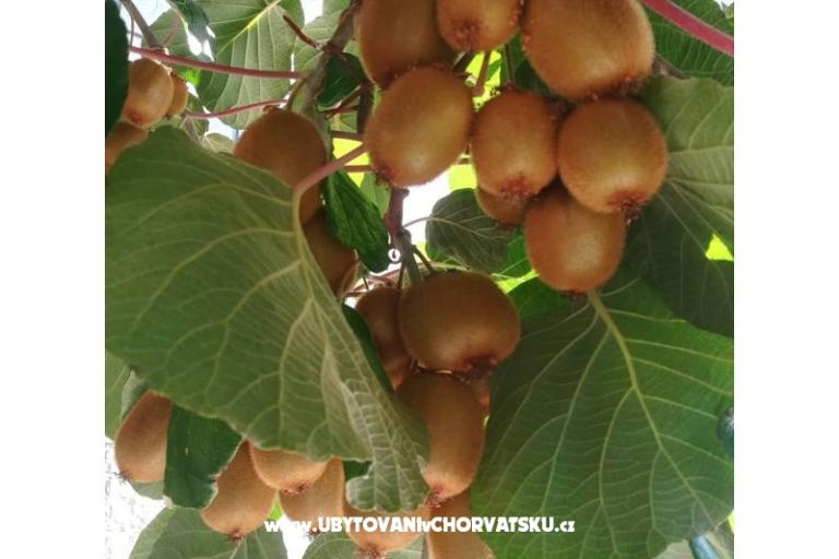 Apartmanok Lucija – fotó 14