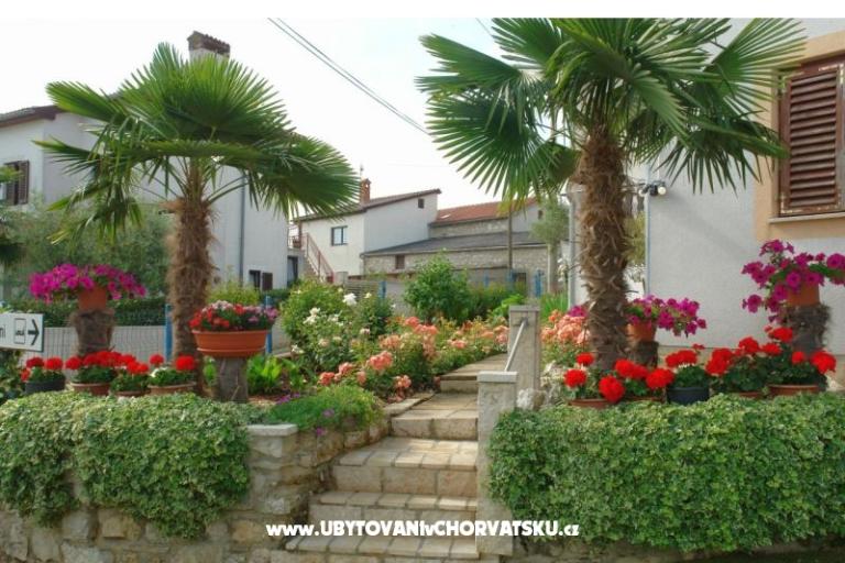 Apartmanok Milokanović – fotó 4