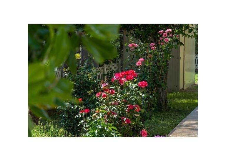 Apartmanok Stanic – fotó 5