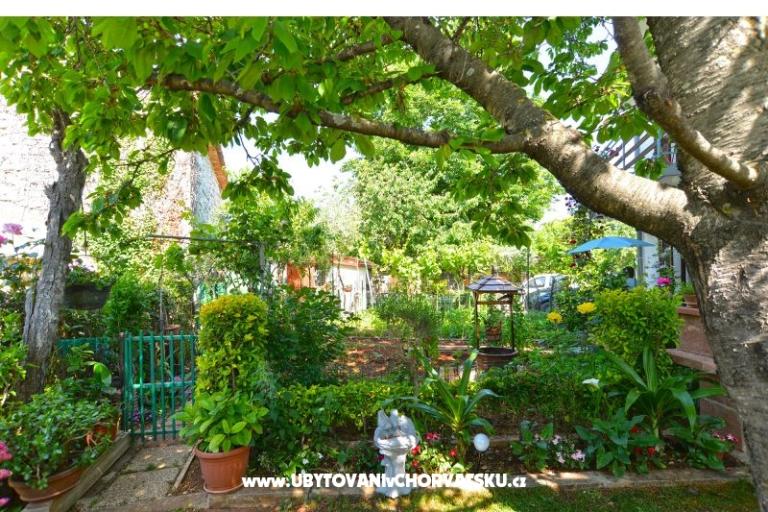 Apartmanok Danica – fotó 5