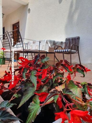 Apartmanok Kero – fotó 12