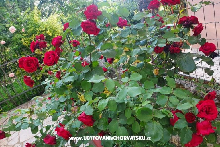 Apartmanok Kero – fotó 15