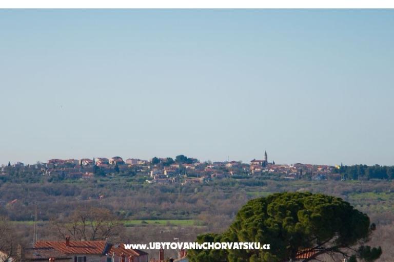Rosini Premium – fotó 9