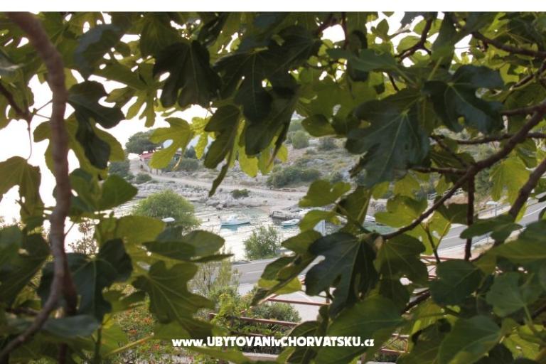 Apartman Brnistra – fotó 16