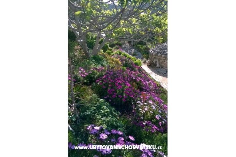 Apartmanok   Luka – fotó 10