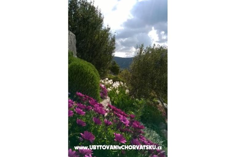 Apartmanok   Luka – fotó 11
