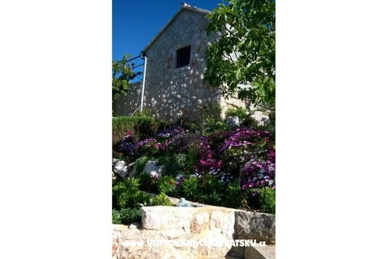 Apartmanok   Luka – fotó 6
