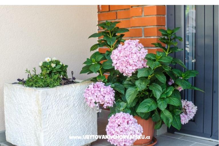 Apartmanok Andreja – fotó 3
