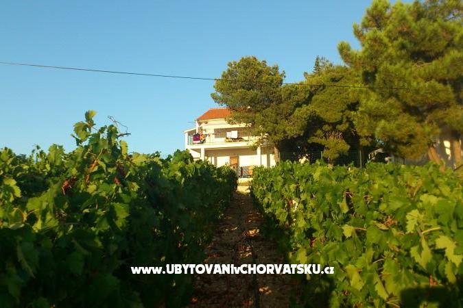 Apartmanok vila Diana – fotó 8