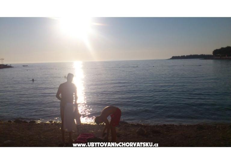 Apartmanok vila Diana – fotó 9
