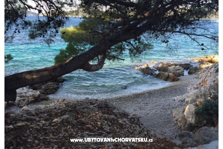 Apartmanok Zorka Primošten – fotó 14
