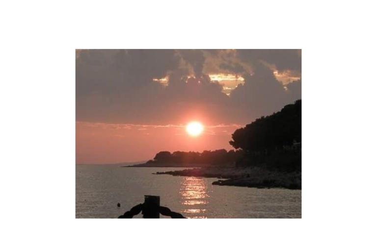 Apartmanok Zvone - Primošten – fotó 11