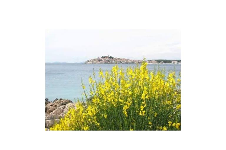 Apartmanok Zvone - Primošten – fotó 12