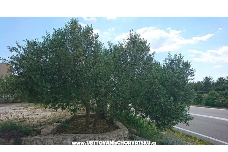 Apartmanok Kocka  – fotó 10