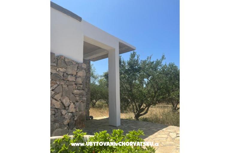 Olive grove – fotó 11