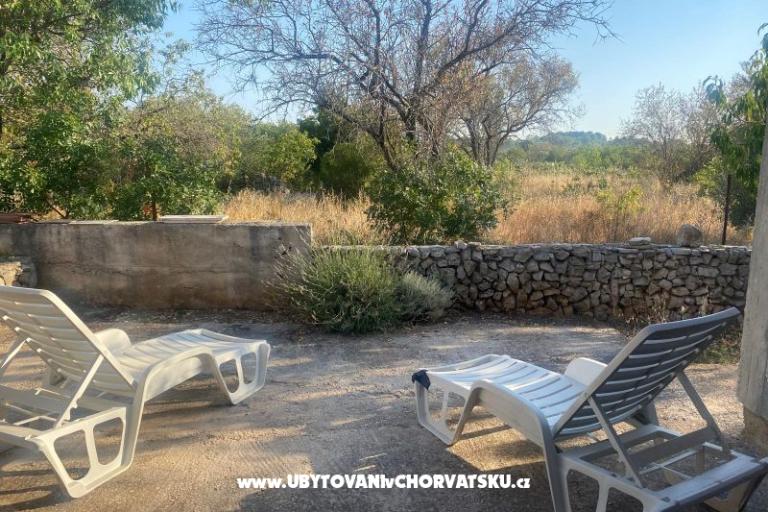 Olive grove – fotó 6