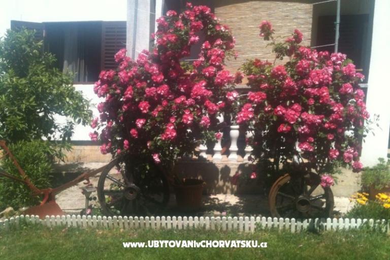 Apartman Luka – fotó 15
