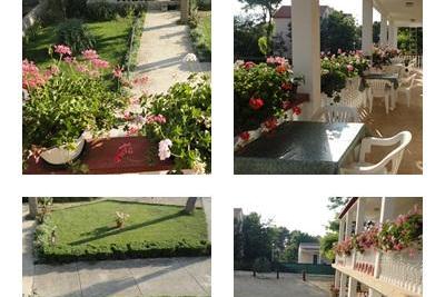 Apartmanok Ankica – fotó 5