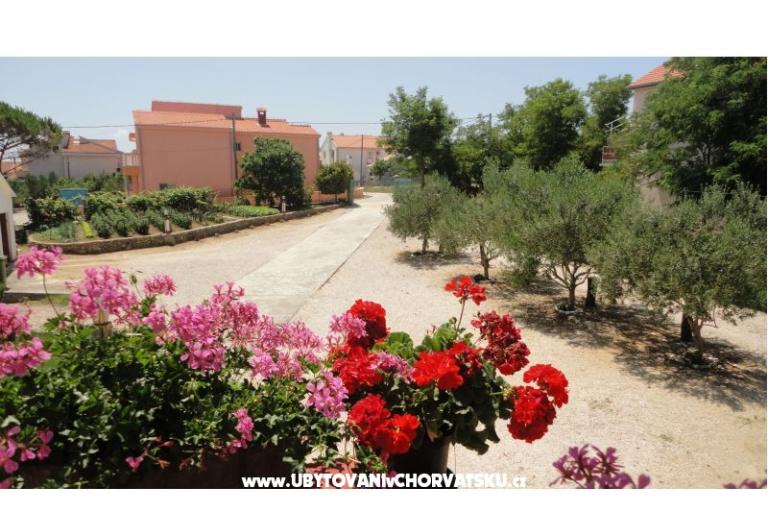 Apartmanok Ankica – fotó 9