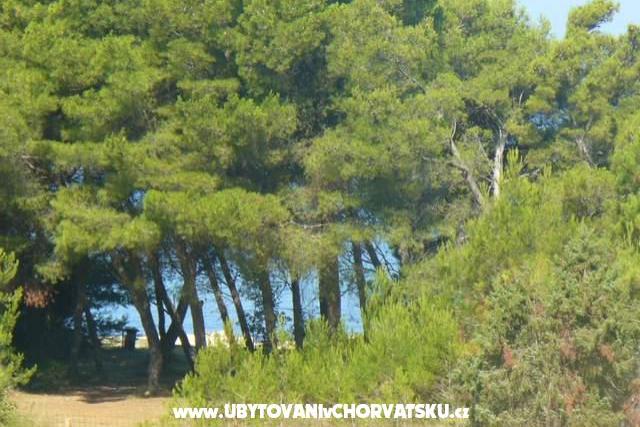  Apartmani Julieta  – fotó 13