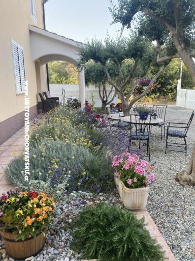 Apartmanok Jurac – fotó 3